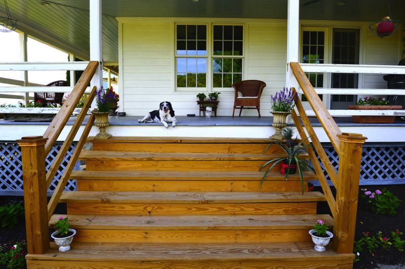 Squeaky Steps Repair in Alpharetta, GA